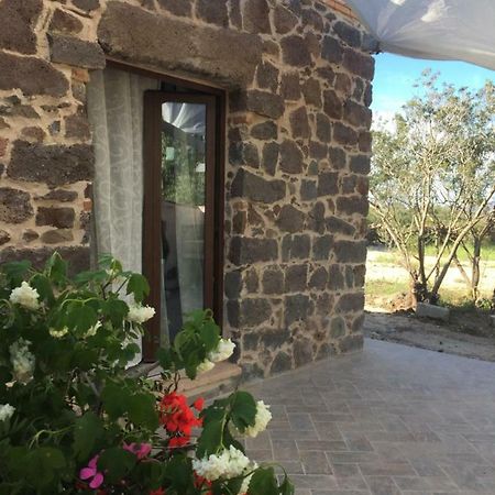 Sa Domo De Mannoi Su Catreathu Villa Орозеи Екстериор снимка